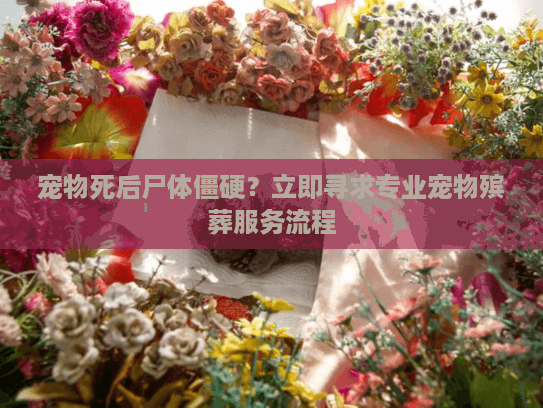 宠物死后尸体僵硬？立即寻求专业宠物殡葬服务流程