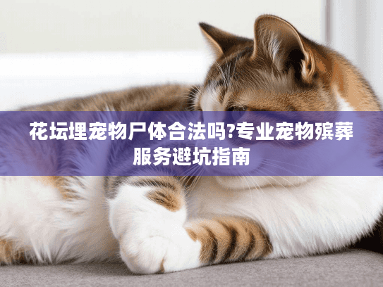 花坛埋宠物尸体合法吗?专业宠物殡葬服务避坑指南