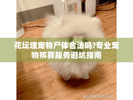 花坛埋宠物尸体合法吗?专业宠物殡葬服务避坑指南 花坛埋宠物尸体合法吗?专业宠物殡葬服务避坑指南