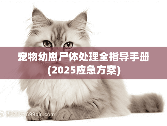 宠物幼崽尸体处理全指导手册(2025应急方案)