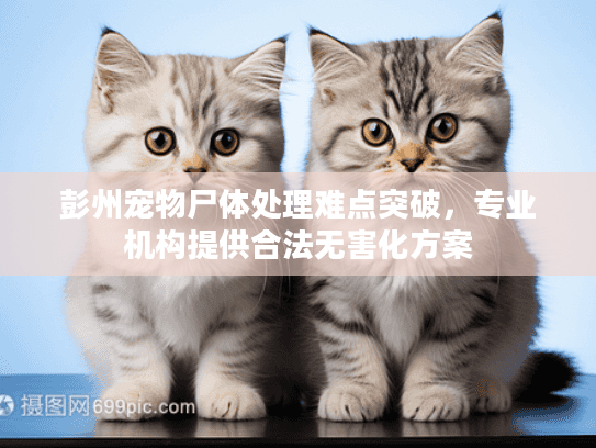 彭州宠物尸体处理难点突破，专业机构提供合法无害化方案