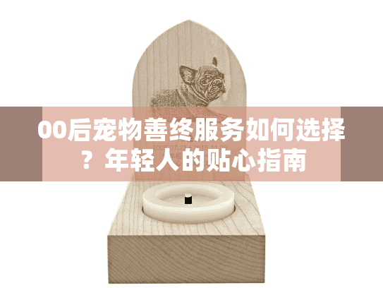 00后宠物善终服务如何选择？年轻人的贴心指南