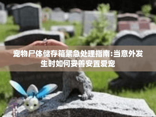 宠物尸体储存箱紧急处理指南:当意外发生时如何妥善安置爱宠