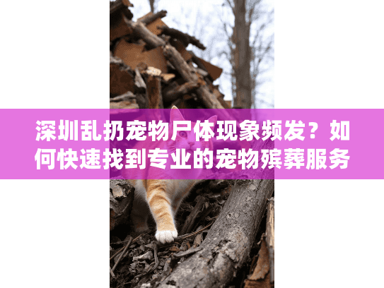 深圳乱扔宠物尸体现象频发？如何快速找到专业的宠物殡葬服务