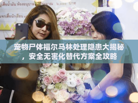 宠物尸体福尔马林处理隐患大揭秘，安全无害化替代方案全攻略