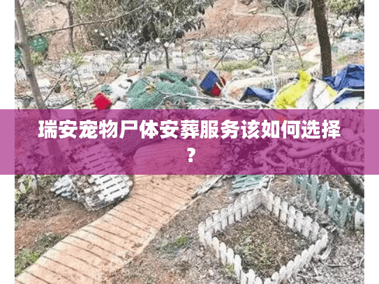 瑞安宠物尸体安葬服务该如何选择？