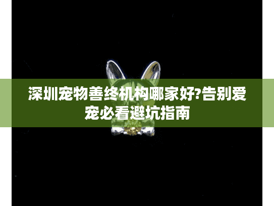 深圳宠物善终机构哪家好?告别爱宠必看避坑指南