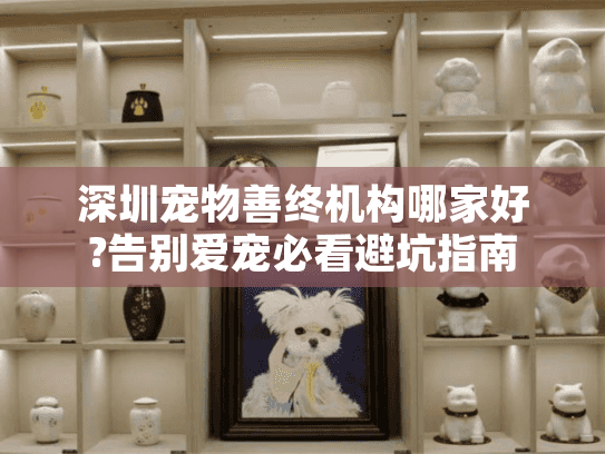 深圳宠物善终机构哪家好?告别爱宠必看避坑指南
