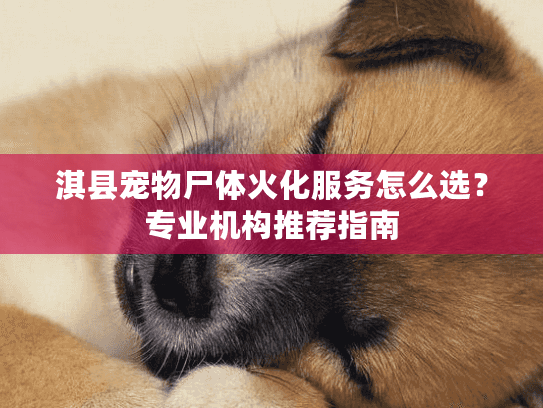 淇县宠物尸体火化服务怎么选？专业机构推荐指南