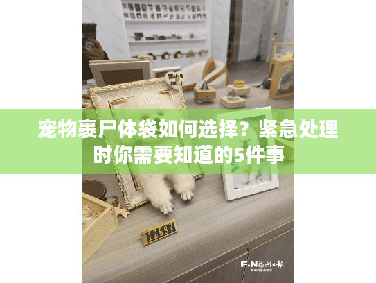 宠物裹尸体袋如何选择？紧急处理时你需要知道的5件事