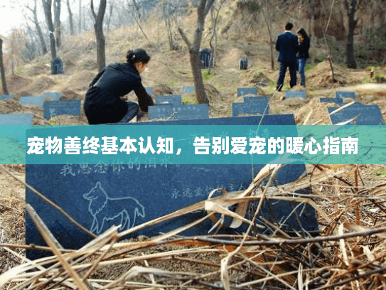 宠物善终基本认知，告别爱宠的暖心指南