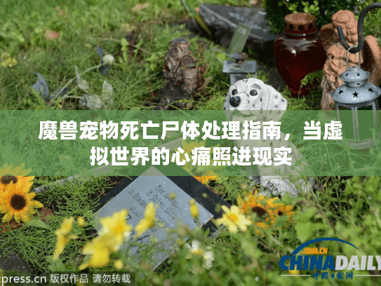 魔兽宠物死亡尸体处理指南，当虚拟世界的心痛照进现实