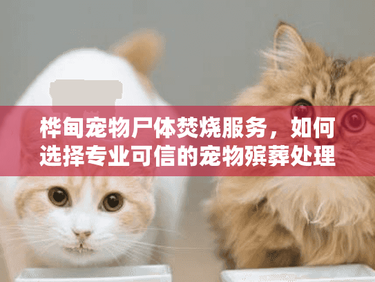 桦甸宠物尸体焚烧服务，如何选择专业可信的宠物殡葬处理？