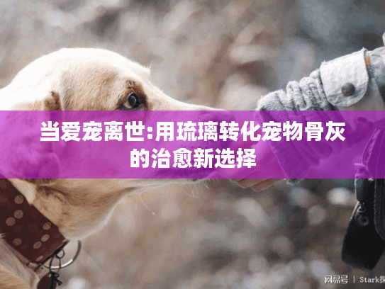 当爱宠离世:用琉璃转化宠物骨灰的治愈新选择