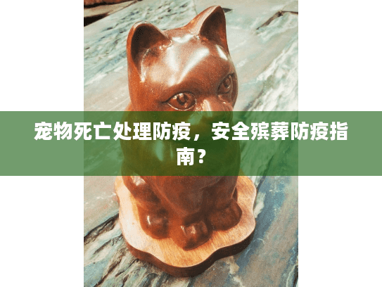 宠物死亡处理防疫，安全殡葬防疫指南？