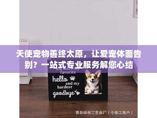 天使宠物善终太原，让爱宠体面告别？一站式专业服务解您心结