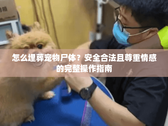 怎么埋葬宠物尸体？安全合法且尊重情感的完整操作指南