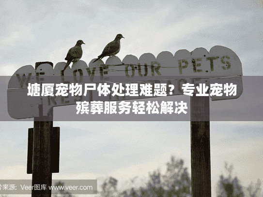 塘厦宠物尸体处理难题？专业宠物殡葬服务轻松解决