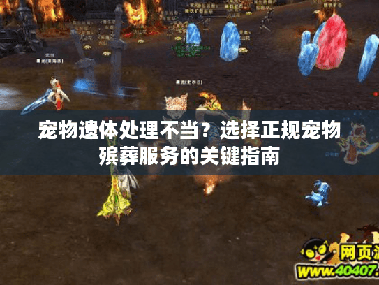 宠物遗体处理不当？选择正规宠物殡葬服务的关键指南