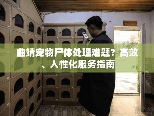 曲靖宠物尸体处理难题？高效、人性化服务指南