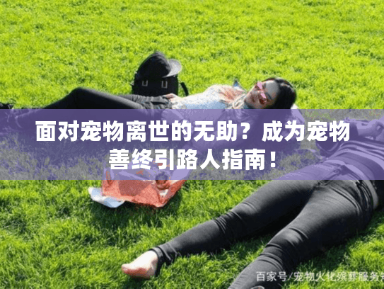 面对宠物离世的无助？成为宠物善终引路人指南！