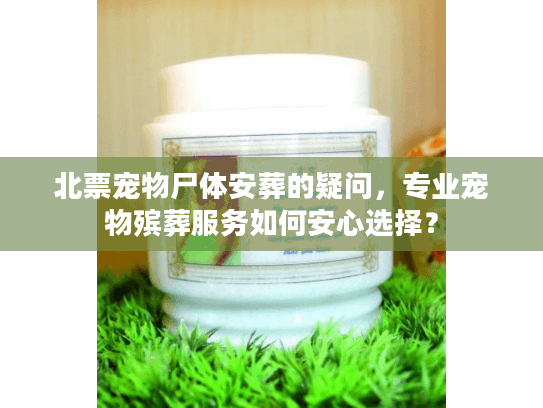 北票宠物尸体安葬的疑问，专业宠物殡葬服务如何安心选择？