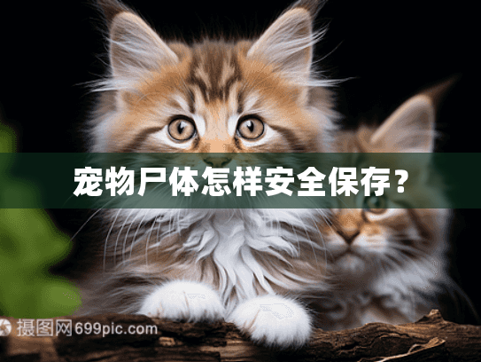 宠物尸体怎样安全保存？