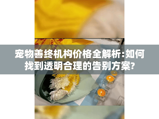 宠物善终机构价格全解析:如何找到透明合理的告别方案?
