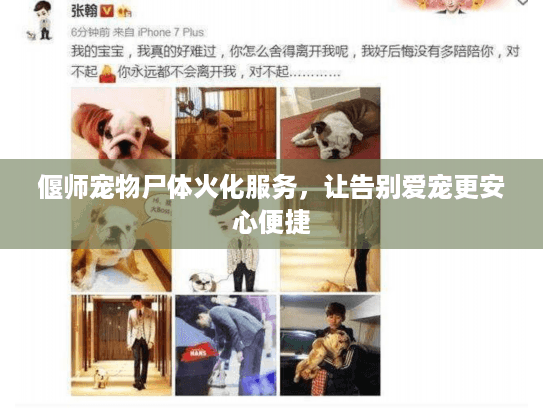 偃师宠物尸体火化服务，让告别爱宠更安心便捷
