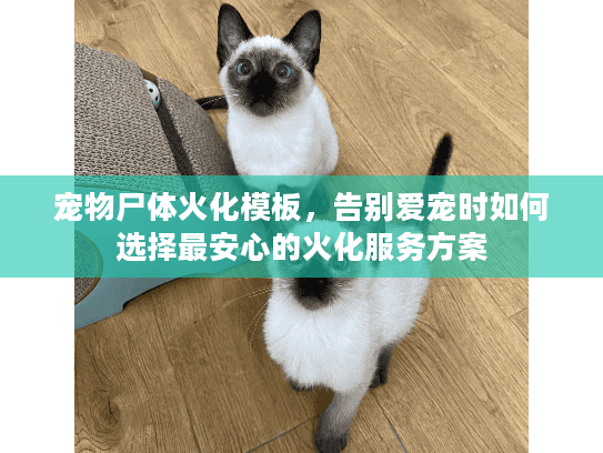 宠物尸体火化模板，告别爱宠时如何选择最安心的火化服务方案