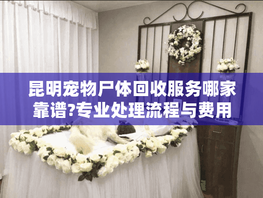 昆明宠物尸体回收服务哪家靠谱?专业处理流程与费用详解