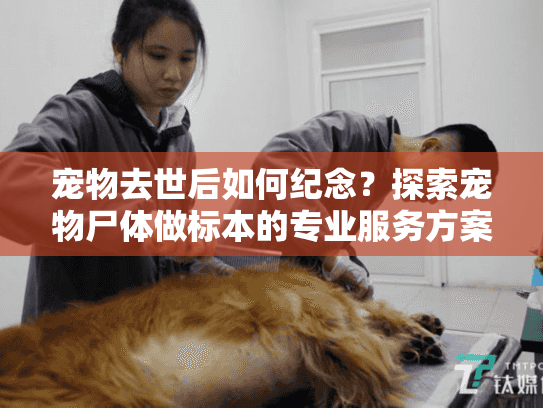 宠物去世后如何纪念？探索宠物尸体做标本的专业服务方案
