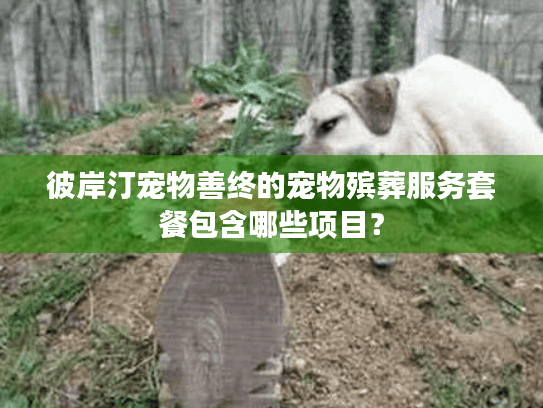 彼岸汀宠物善终的宠物殡葬服务套餐包含哪些项目？