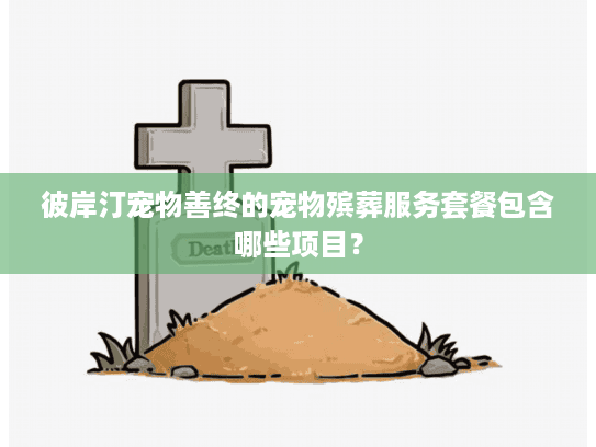 彼岸汀宠物善终的宠物殡葬服务套餐包含哪些项目？