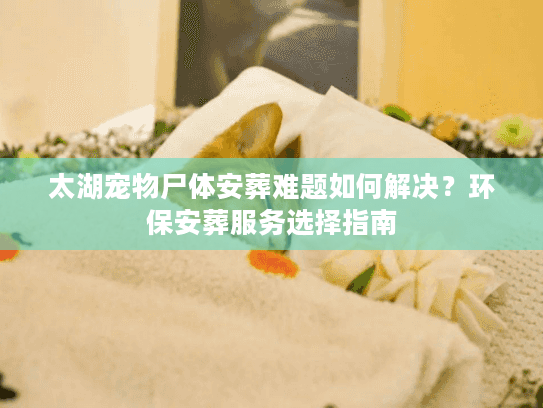 太湖宠物尸体安葬难题如何解决?环保安葬服务选择指南 太湖宠物尸体安葬难题如何解决?环保安葬服务选择指南