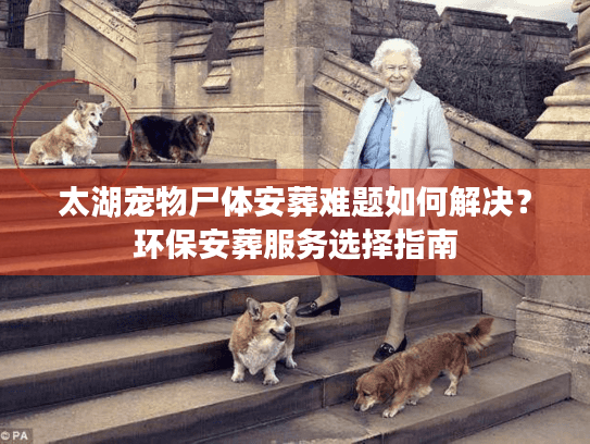 太湖宠物尸体安葬难题如何解决?环保安葬服务选择指南 太湖宠物尸体安葬难题如何解决?环保安葬服务选择指南