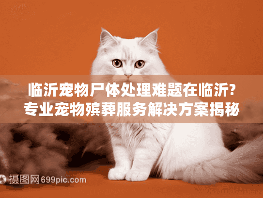 临沂宠物尸体处理难题在临沂?专业宠物殡葬服务解决方案揭秘