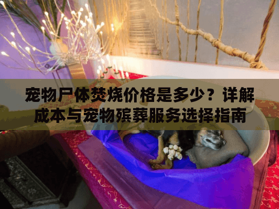 宠物尸体焚烧价格是多少？详解成本与宠物殡葬服务选择指南