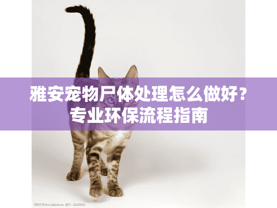 雅安宠物尸体处理怎么做好?专业环保流程指南 雅安宠物尸体处理怎么做好?专业环保流程指南