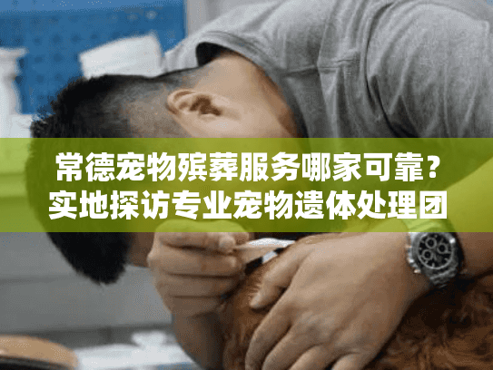 常德宠物殡葬服务哪家可靠？实地探访专业宠物遗体处理团队