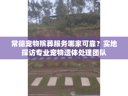 常德宠物殡葬服务哪家可靠？实地探访专业宠物遗体处理团队