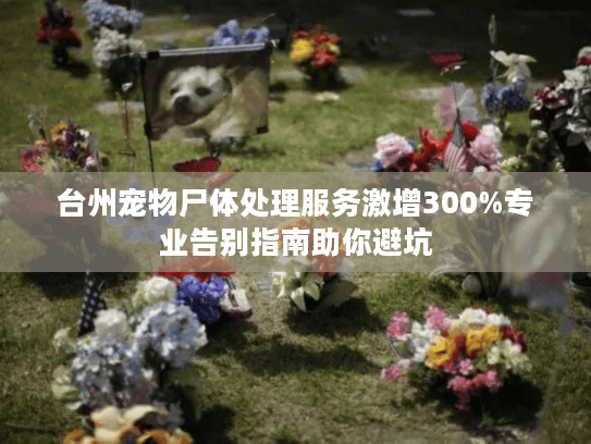 台州宠物尸体处理服务激增300%专业告别指南助你避坑