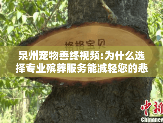 泉州宠物善终视频:为什么选择专业殡葬服务能减轻您的悲伤?