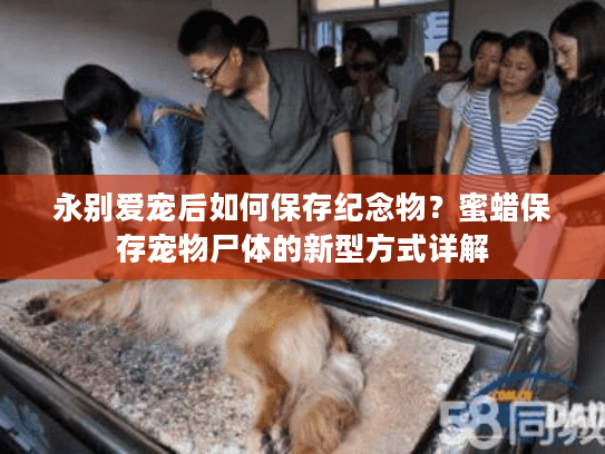 永别爱宠后如何保存纪念物？蜜蜡保存宠物尸体的新型方式详解