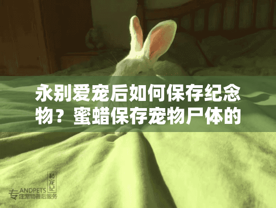 永别爱宠后如何保存纪念物？蜜蜡保存宠物尸体的新型方式详解