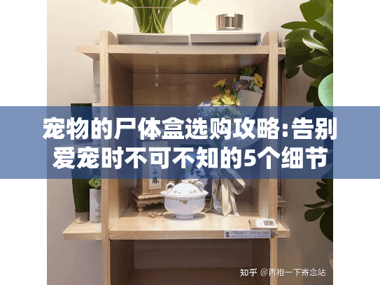 宠物的尸体盒选购攻略:告别爱宠时不可不知的5个细节