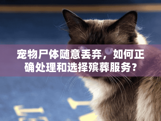 宠物尸体随意丢弃，如何正确处理和选择殡葬服务？