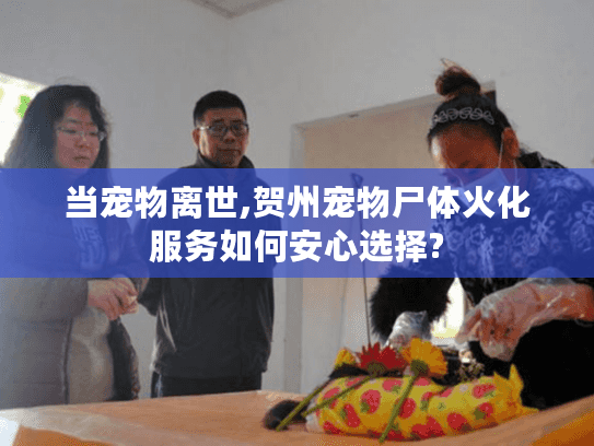 当宠物离世,贺州宠物尸体火化服务如何安心选择?