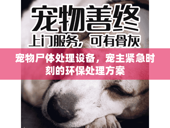 宠物尸体处理设备，宠主紧急时刻的环保处理方案