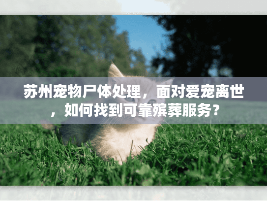 苏州宠物尸体处理，面对爱宠离世，如何找到可靠殡葬服务？